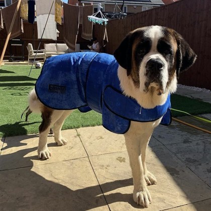 easidri coat large dog